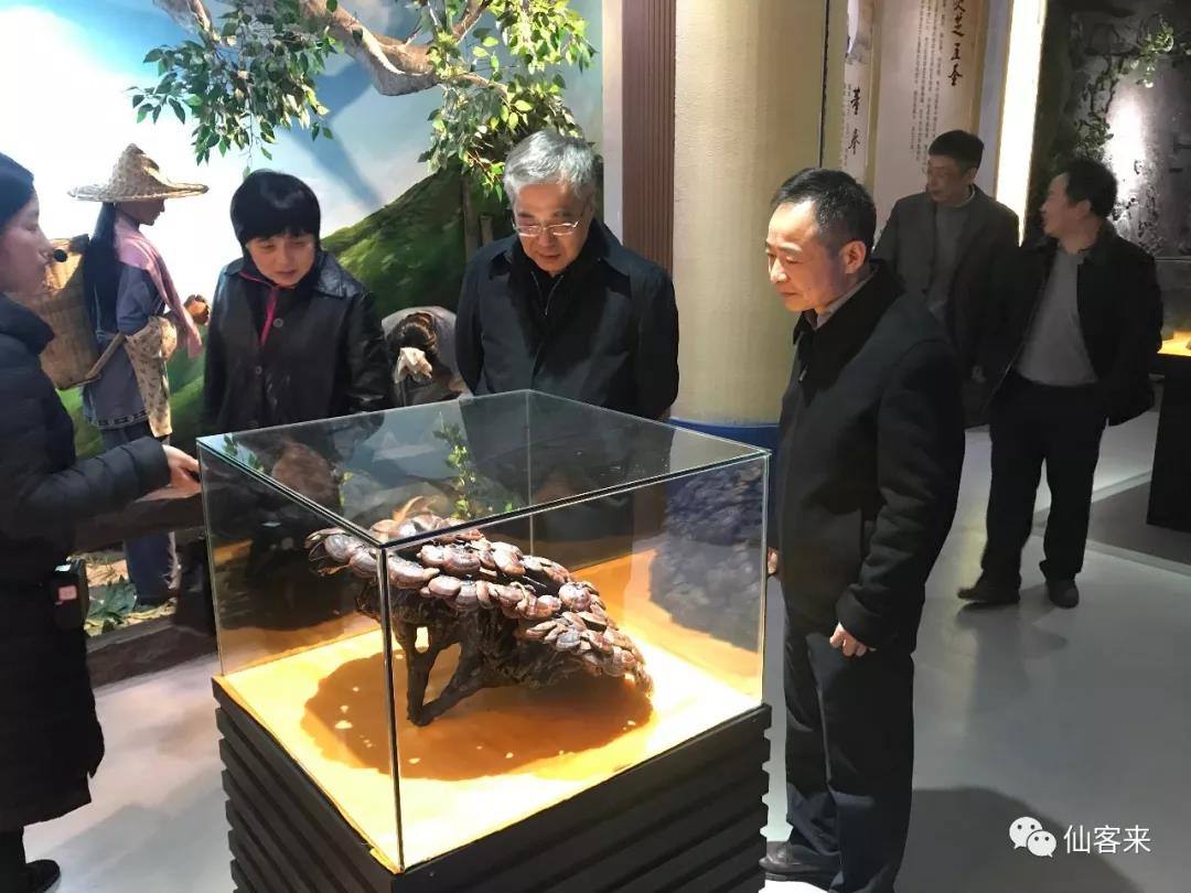 中國靈芝十大品牌|仙客來靈芝|仙客來靈芝破壁孢子粉|仙客來孢子油|仙客來靈芝飲片|仙客來破壁孢子粉|仙客來靈芝中藥飲片|馳名商標(biāo)|c243t.cn|