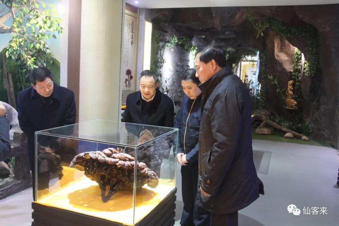 中國靈芝十大品牌|仙客來靈芝|仙客來靈芝破壁孢子粉|仙客來孢子油|仙客來靈芝飲片|仙客來破壁孢子粉|仙客來靈芝中藥飲片|馳名商標(biāo)|c243t.cn|