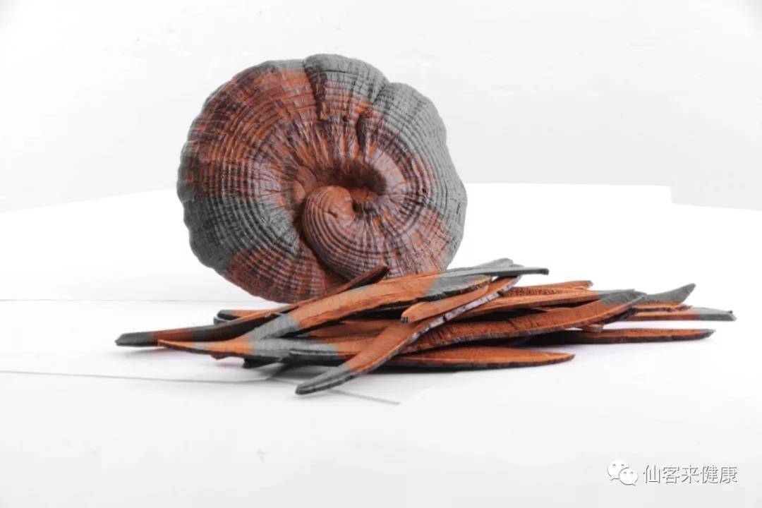 中國靈芝十大品牌|仙客來靈芝|仙客來靈芝破壁孢子粉|仙客來孢子油|仙客來靈芝飲片|仙客來破壁孢子粉|仙客來靈芝中藥飲片|馳名商標|c243t.cn|