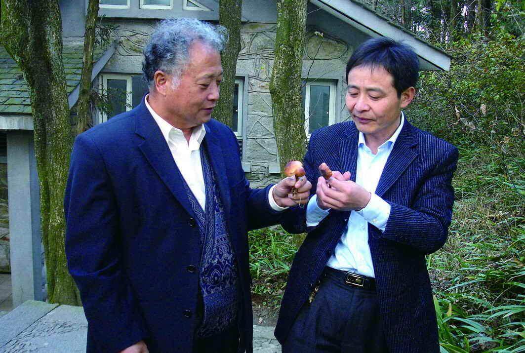 杭州亞運(yùn)會(huì)官方靈芝產(chǎn)品供應(yīng)商|杭州亞運(yùn)會(huì)官方供應(yīng)商|中國(guó)靈芝十大品牌|仙客來靈芝|仙客來靈芝破壁孢子粉|仙客來孢子油|仙客來靈芝飲片|仙客來破壁孢子粉|靈芝孢子油|孢子粉|靈芝破壁孢子粉|靈芝|中華老字號(hào)