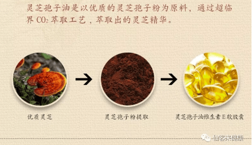 中國靈芝十大品牌|仙客來靈芝|仙客來靈芝破壁孢子粉|仙客來孢子油|仙客來靈芝飲片|仙客來破壁孢子粉|仙客來靈芝中藥飲片|馳名商標|c243t.cn|