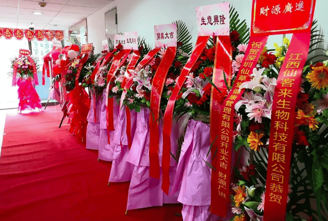 中國靈芝十大品牌|仙客來靈芝|仙客來靈芝破壁孢子粉|仙客來孢子油|仙客來靈芝飲片|仙客來破壁孢子粉|仙客來靈芝中藥飲片|馳名商標|c243t.cn|