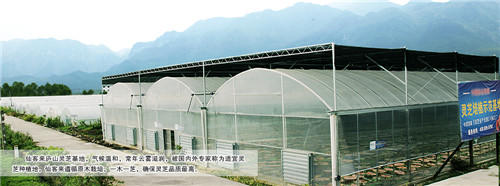 中國靈芝十大品牌|仙客來靈芝|仙客來靈芝破壁孢子粉|仙客來孢子油|仙客來靈芝飲片|仙客來破壁孢子粉|仙客來靈芝中藥飲片|馳名商標(biāo)|c243t.cn|