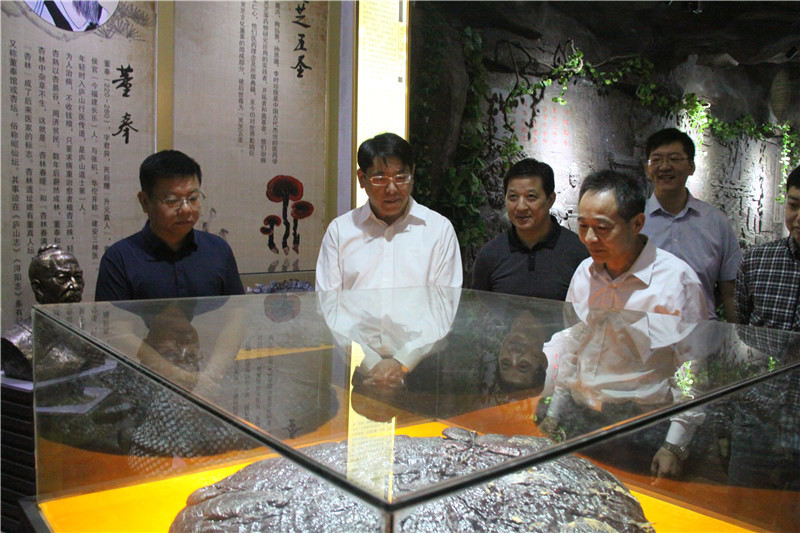 中國(guó)靈芝十大品牌|仙客來(lái)靈芝|仙客來(lái)靈芝破壁孢子粉|仙客來(lái)孢子油|仙客來(lái)靈芝飲片|仙客來(lái)破壁孢子粉|仙客來(lái)靈芝中藥飲片|馳名商標(biāo)|c243t.cn|