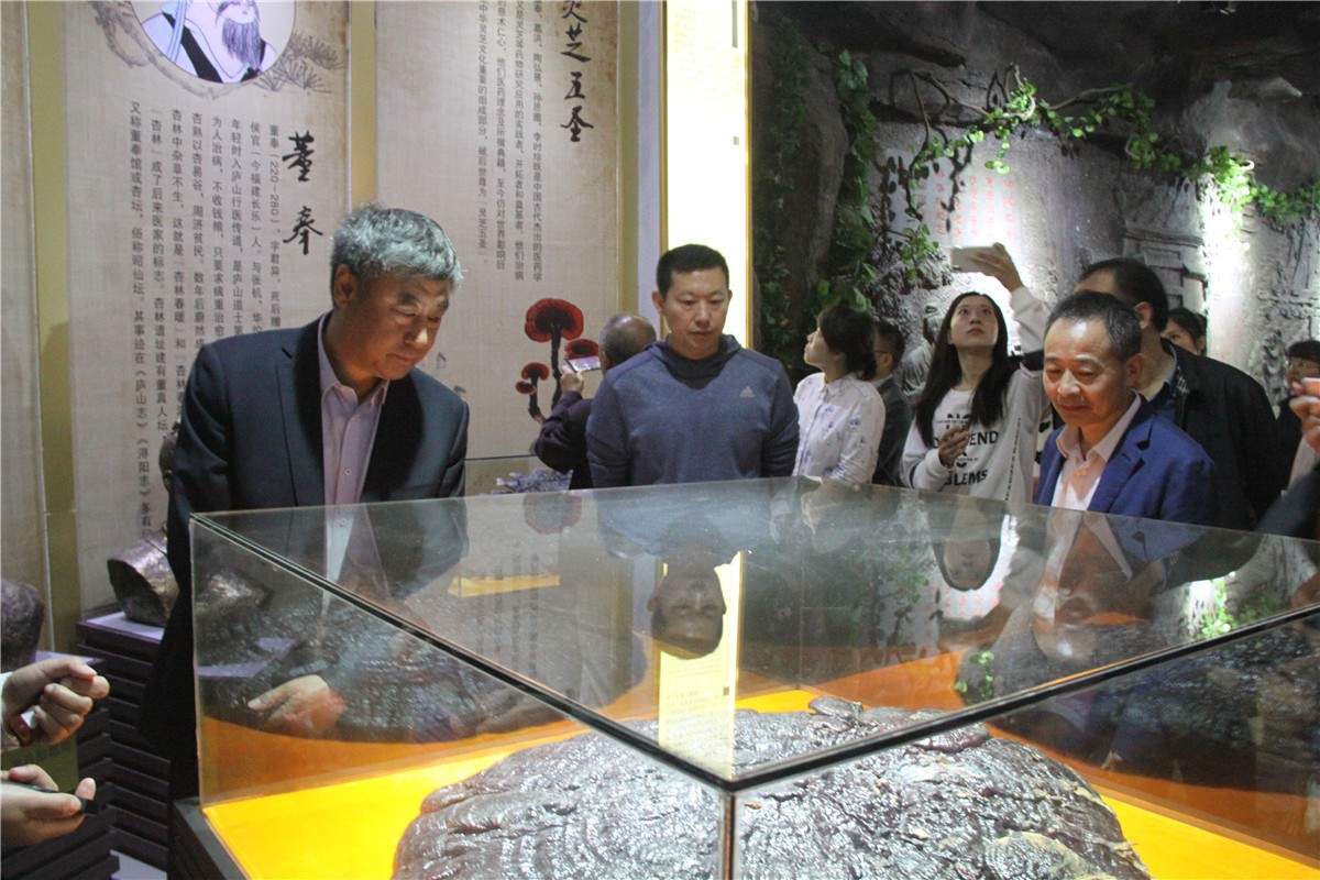 中國靈芝十大品牌|仙客來靈芝|仙客來靈芝破壁孢子粉|仙客來孢子油|仙客來靈芝飲片|仙客來破壁孢子粉|仙客來靈芝中藥飲片|馳名商標|c243t.cn|