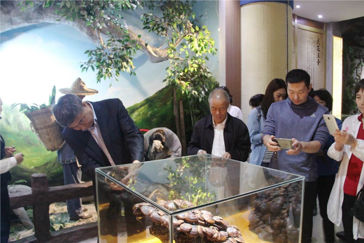 中國靈芝十大品牌|仙客來靈芝|仙客來靈芝破壁孢子粉|仙客來孢子油|仙客來靈芝飲片|仙客來破壁孢子粉|仙客來靈芝中藥飲片|馳名商標|c243t.cn|