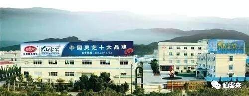 中國靈芝十大品牌|仙客來靈芝|仙客來靈芝破壁孢子粉|仙客來孢子油|仙客來靈芝飲片|仙客來破壁孢子粉|仙客來靈芝中藥飲片|馳名商標(biāo)|c243t.cn|