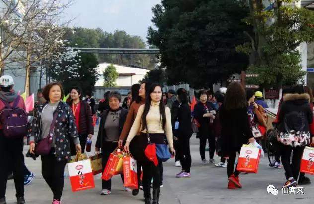中國靈芝十大品牌|仙客來靈芝|仙客來靈芝破壁孢子粉|仙客來孢子油|仙客來靈芝飲片|仙客來破壁孢子粉|仙客來靈芝中藥飲片|馳名商標(biāo)|c243t.cn|