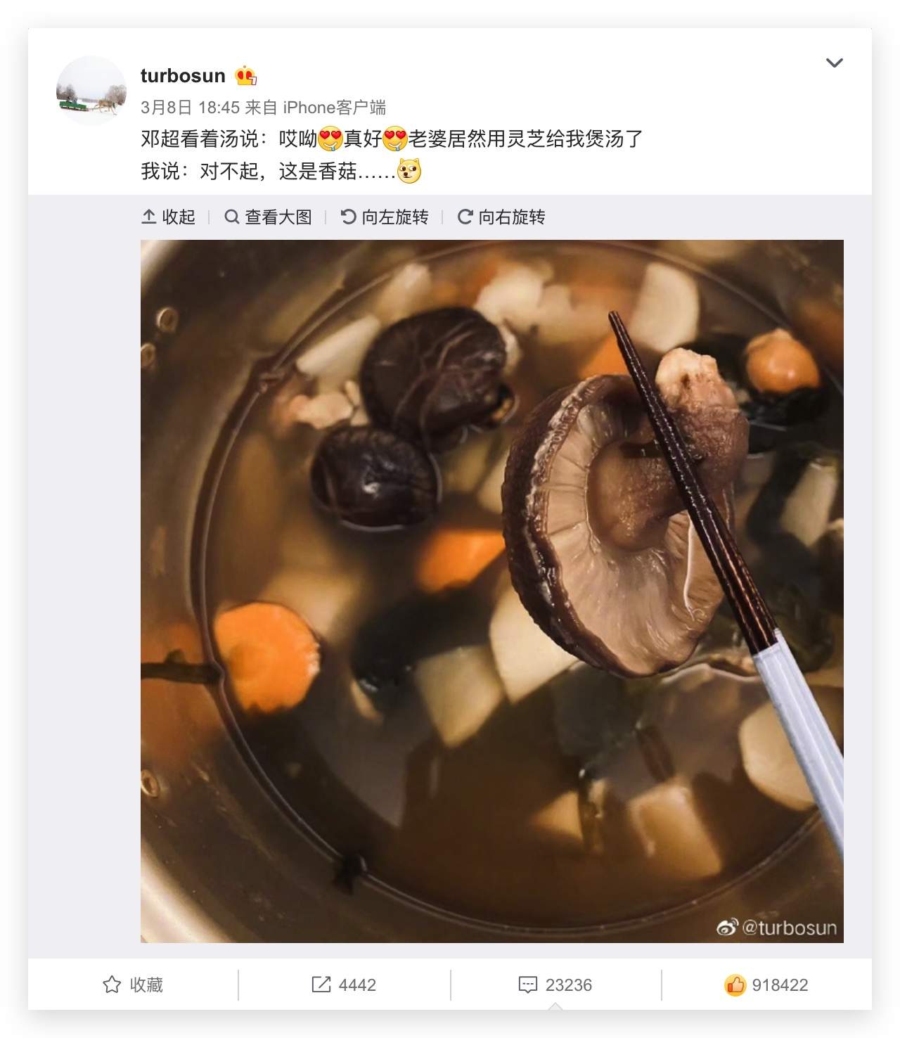 杭州亞運(yùn)會(huì)官方靈芝產(chǎn)品供應(yīng)商|杭州亞運(yùn)會(huì)官方供應(yīng)商|中國(guó)靈芝十大品牌|仙客來靈芝|仙客來靈芝破壁孢子粉|仙客來孢子油|仙客來靈芝飲片|仙客來破壁孢子粉|靈芝孢子油|孢子粉|靈芝破壁孢子粉|靈芝|中華老字號(hào)
